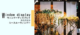 ウィンドウディスプレイ