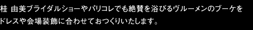 桂　由美ブライダルショーやパリコレでも絶賛を浴びるヴルーメンの